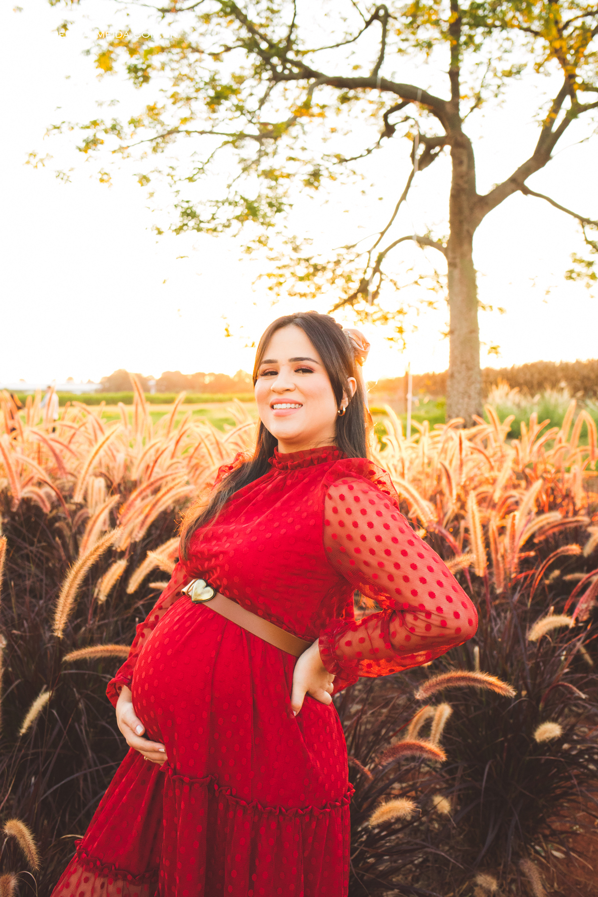 Ensaio de gestante em Holambra no por do sol