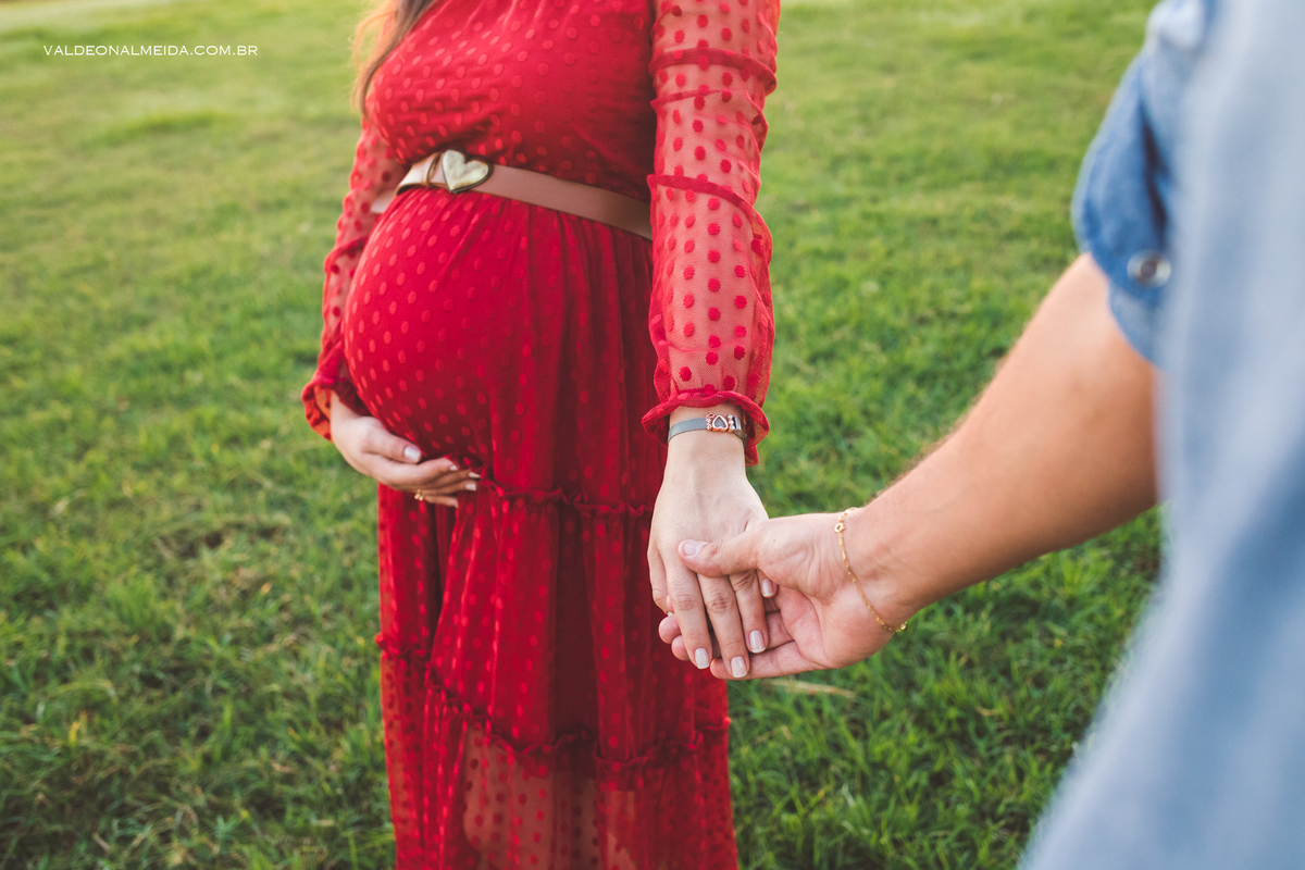 Ensaio de gestante em Holambra no por do sol