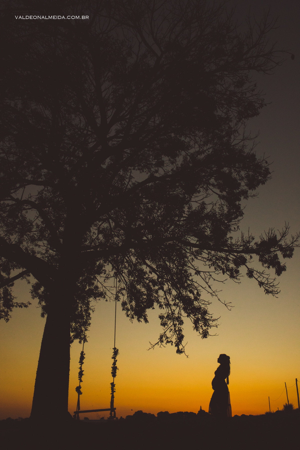 Ensaio de gestante em Holambra no por do sol