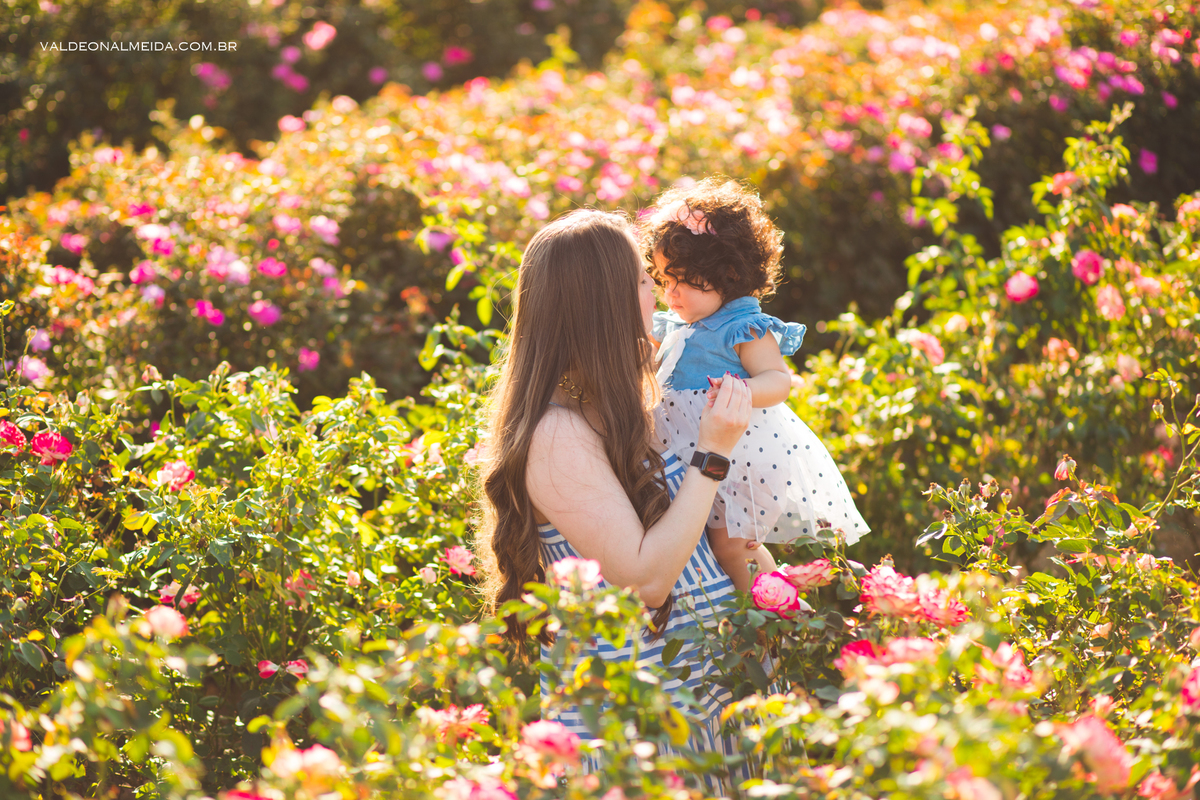 Ensaio de aniversário em Holambra