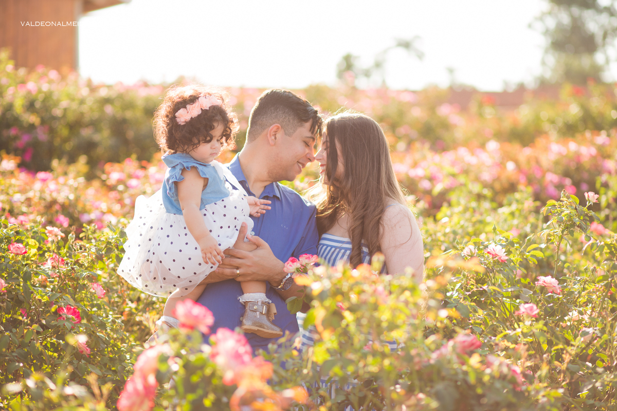 Ensaio de aniversário em Holambra