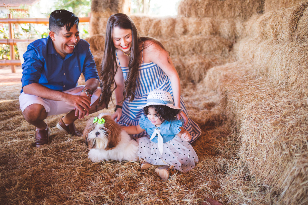 Ensaio de aniversário em Holambra