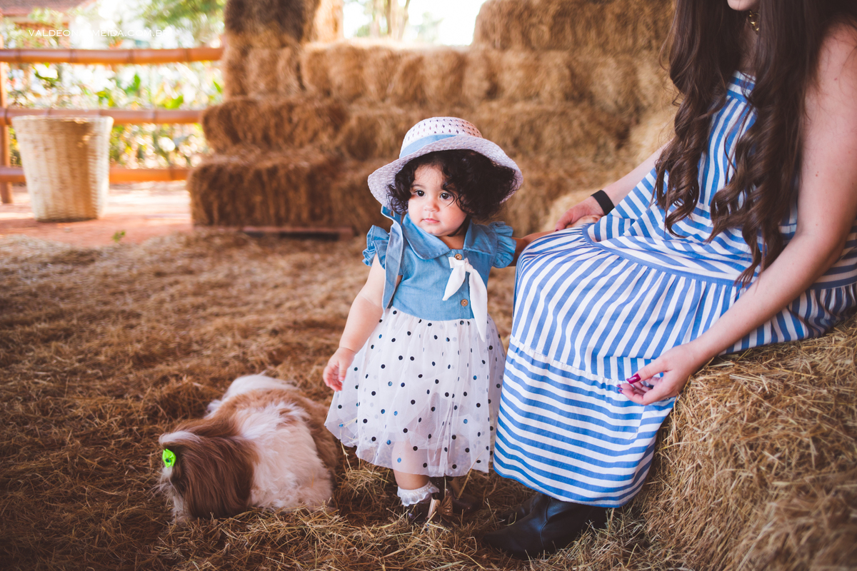Ensaio de aniversário em Holambra