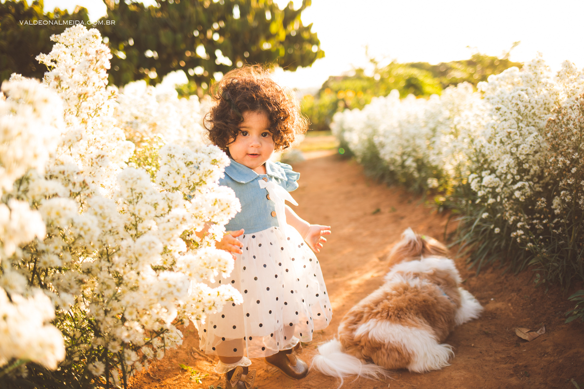 Ensaio de aniversário em Holambra