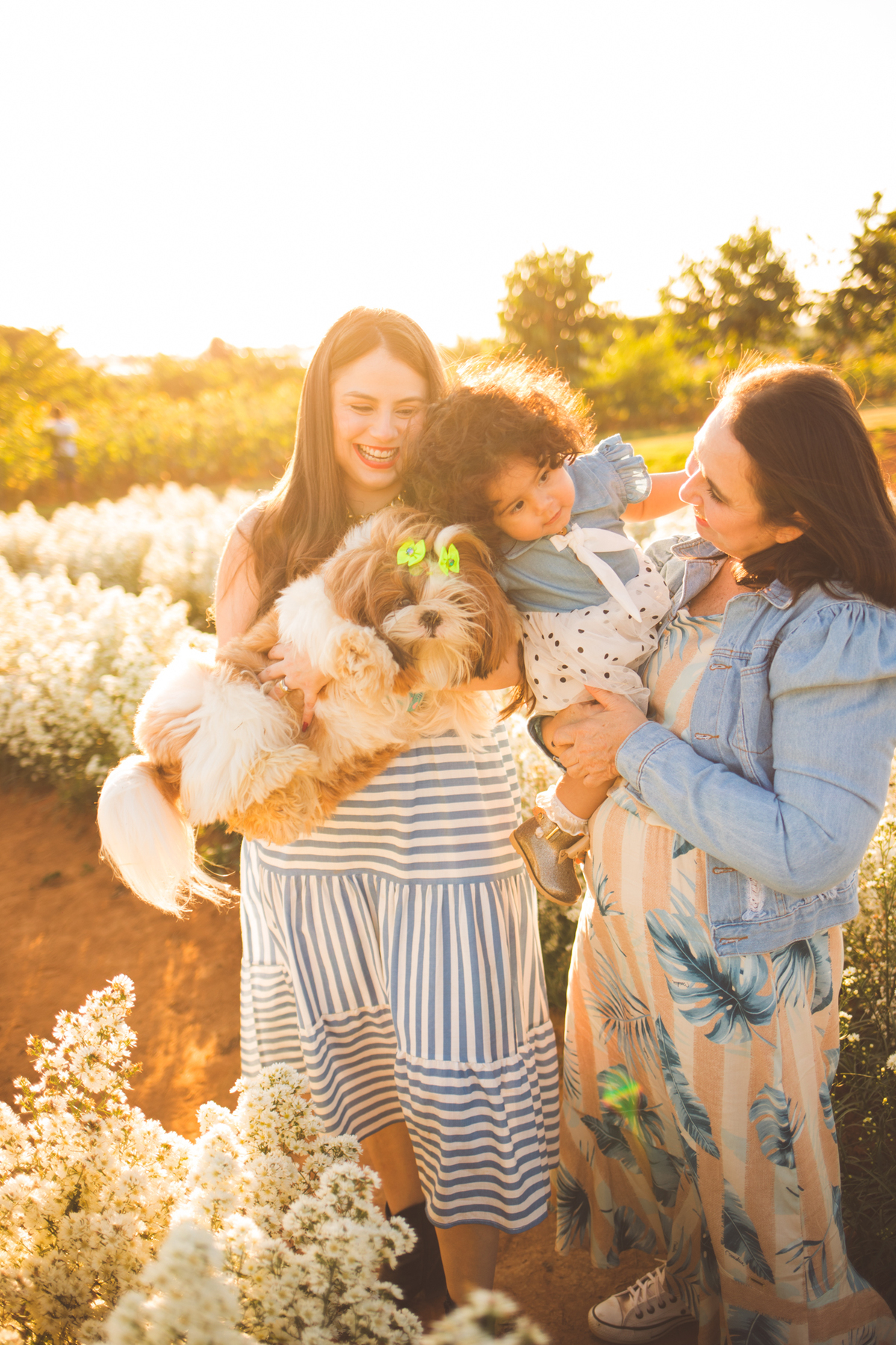 Ensaio de aniversário em Holambra
