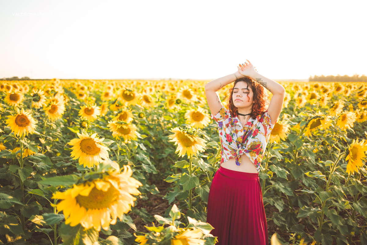 Ensaio feminino em um campo de girassol em Holambra