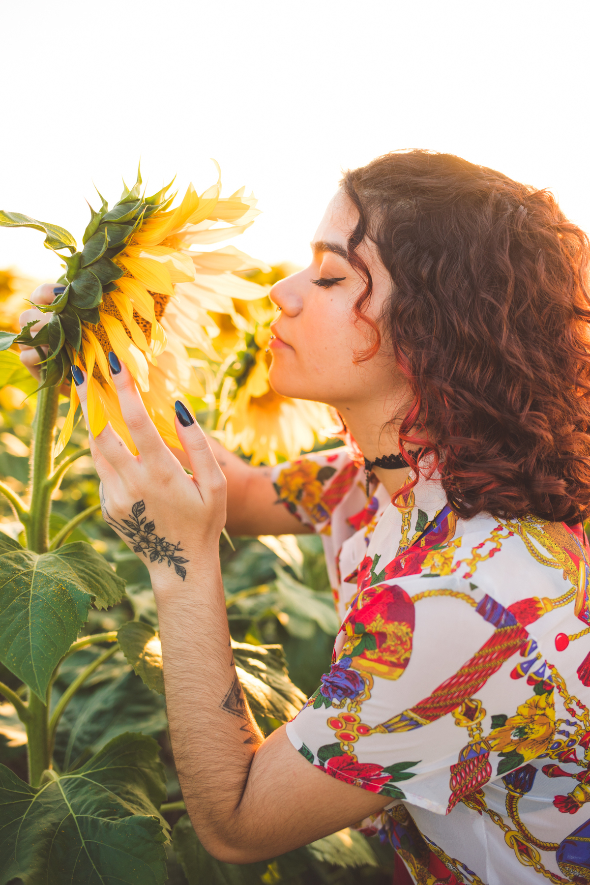 Ensaio feminino em um campo de girassol em Holambra