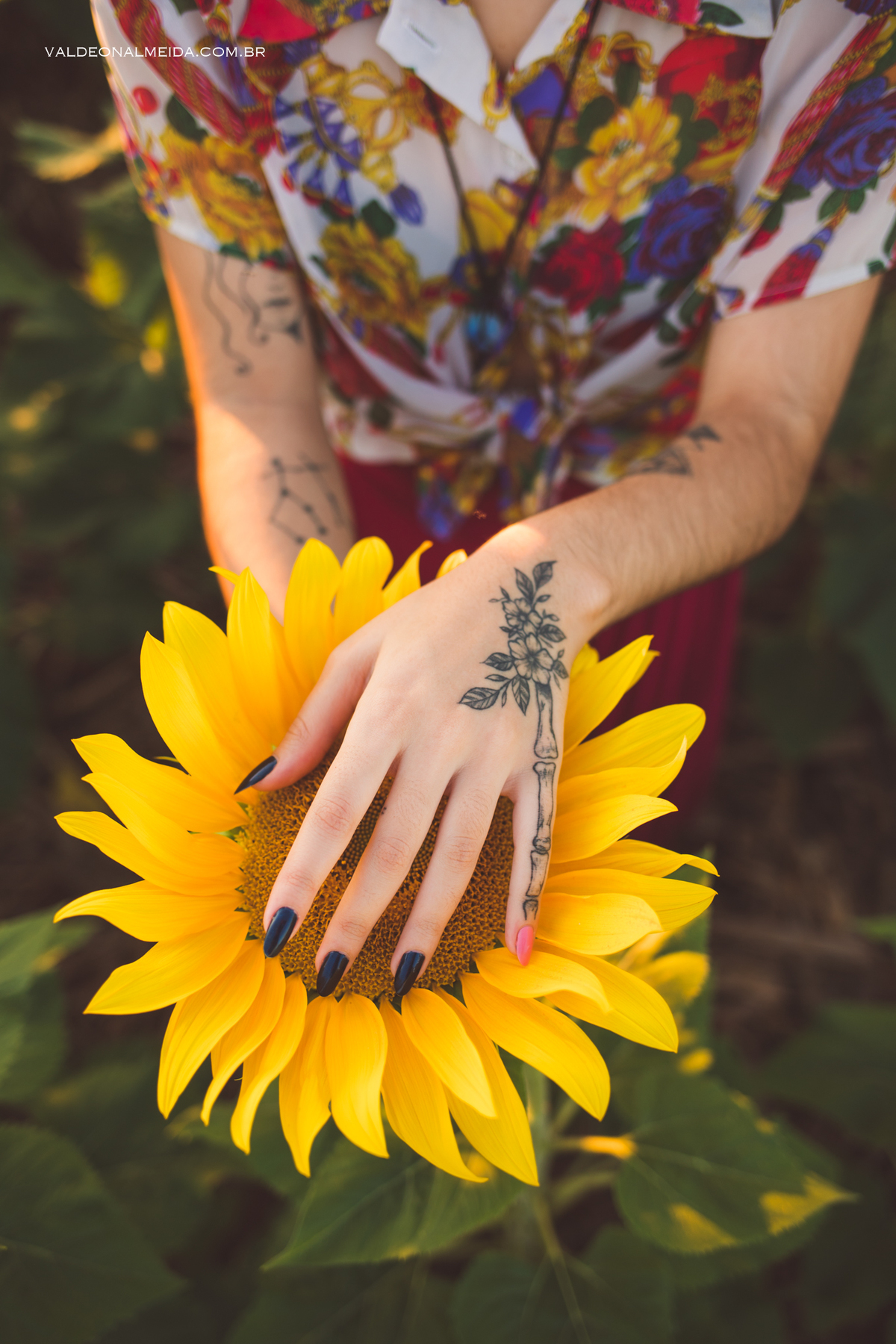 Ensaio feminino em um campo de girassol em Holambra