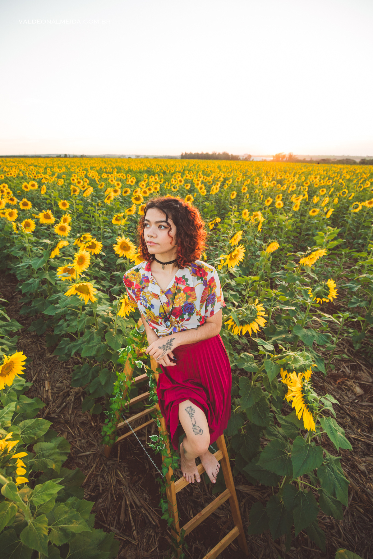 Ensaio feminino em um campo de girassol em Holambra
