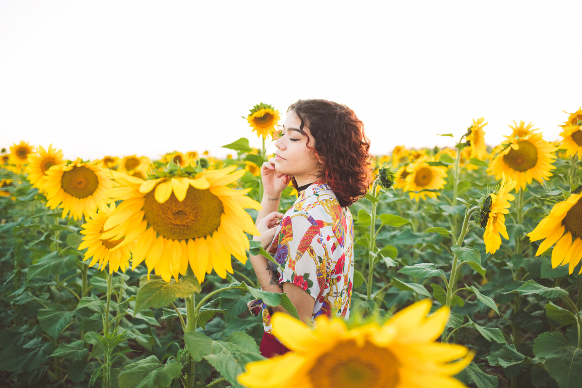 Ensaio feminino em um campo de girassol em Holambra