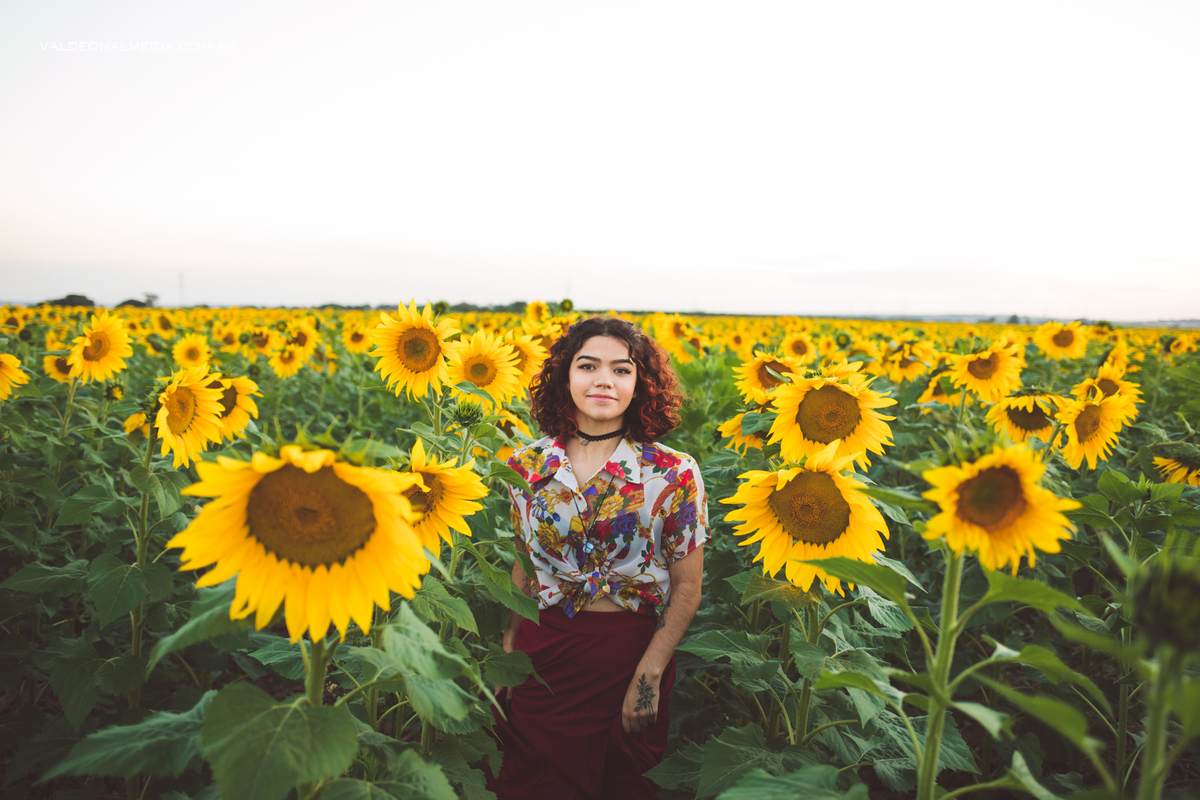 Ensaio feminino em um campo de girassol em Holambra
