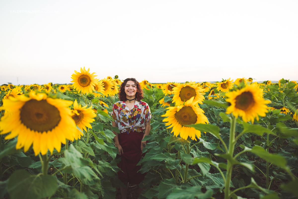 Ensaio feminino em um campo de girassol em Holambra