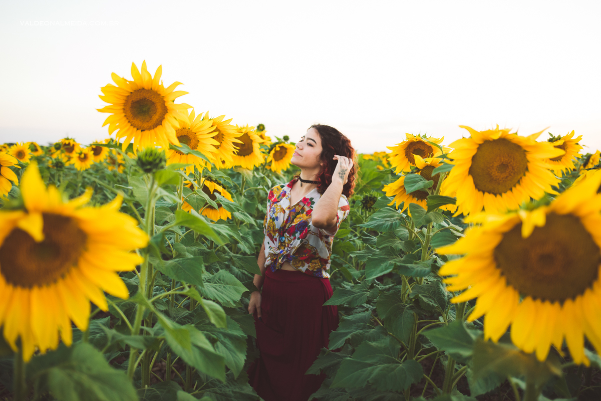 Ensaio feminino em um campo de girassol em Holambra