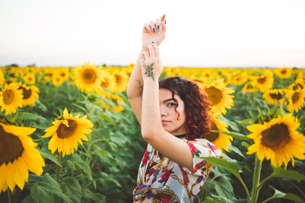 Ensaio feminino em um campo de girassol em Holambra