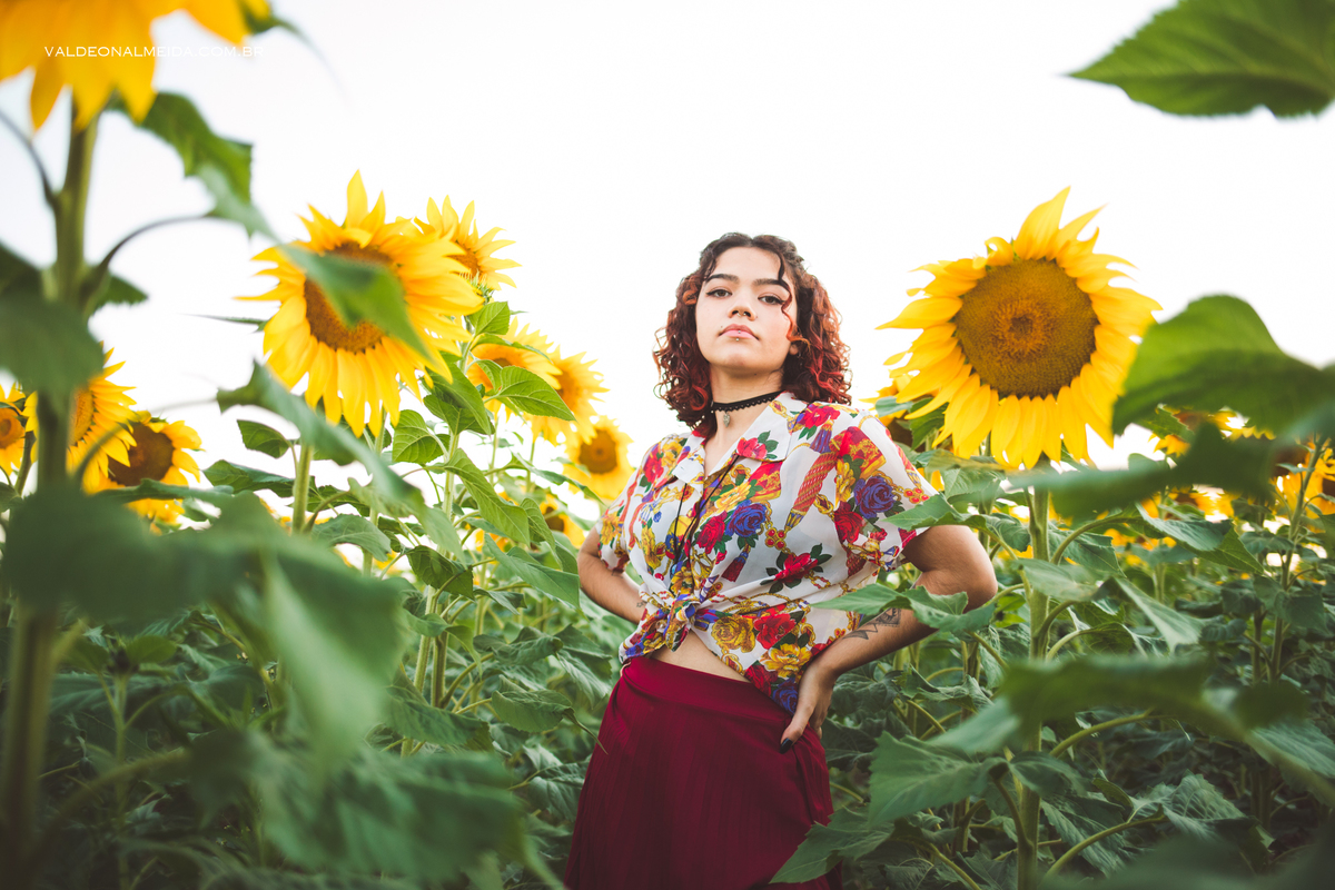 Ensaio feminino em um campo de girassol em Holambra