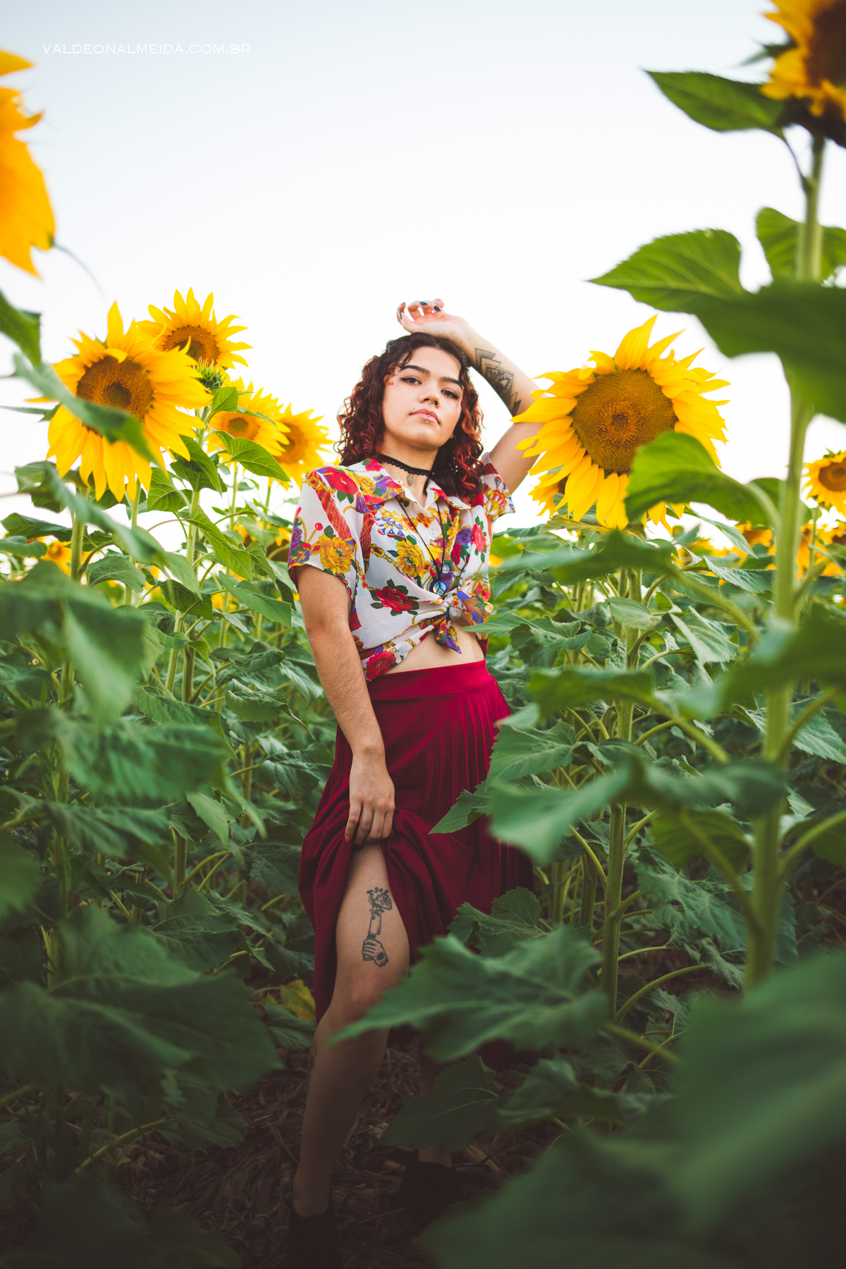 Ensaio feminino em um campo de girassol em Holambra