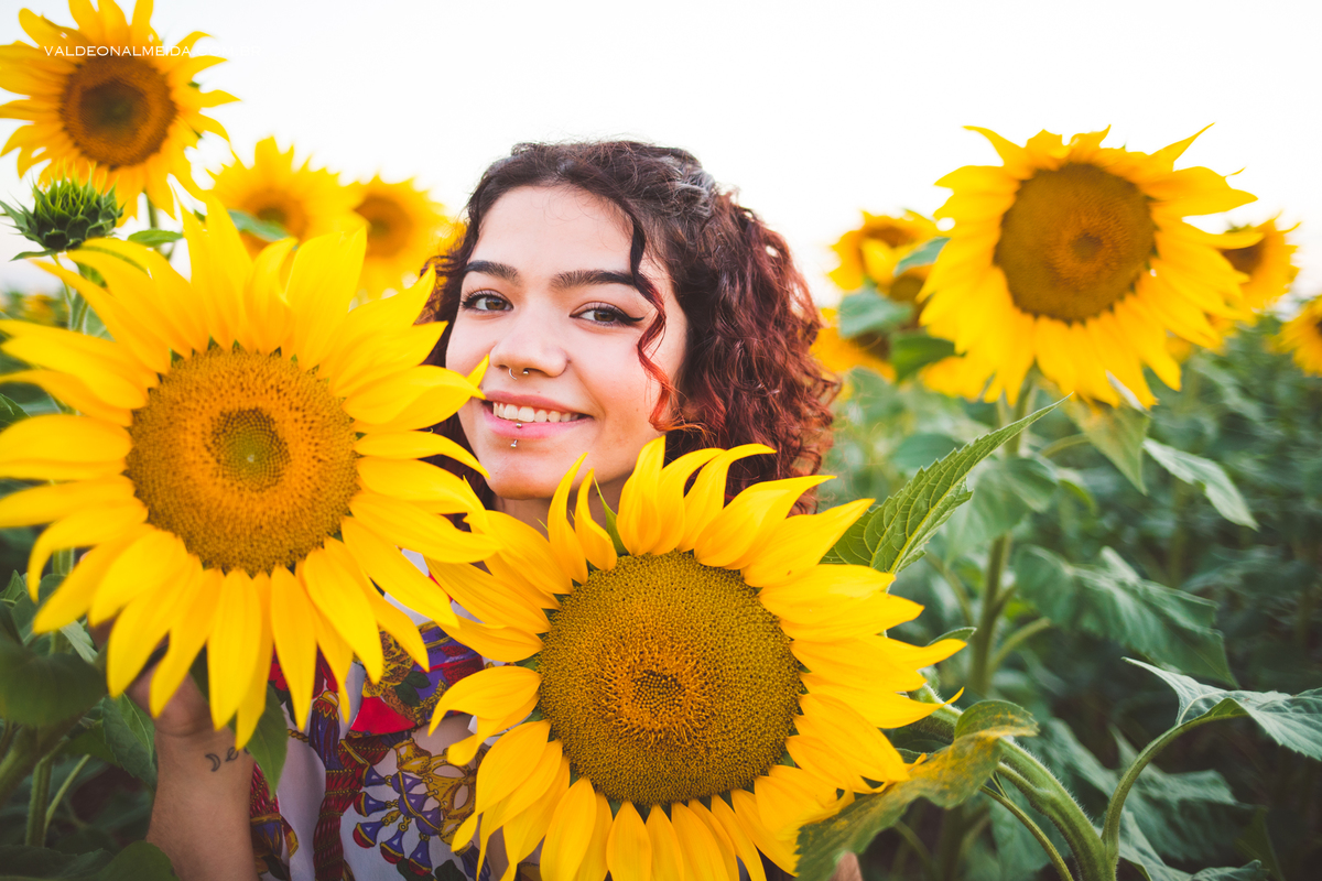 Ensaio feminino em um campo de girassol em Holambra