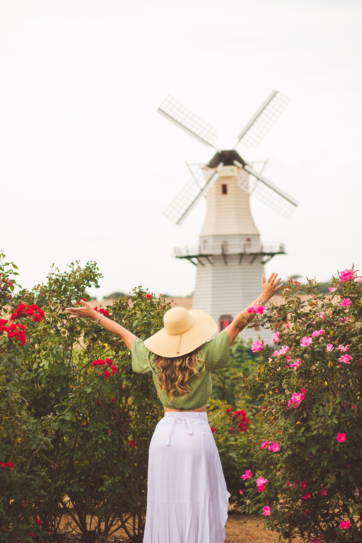 Ensaio feminino na plantação de rosas em Holambra