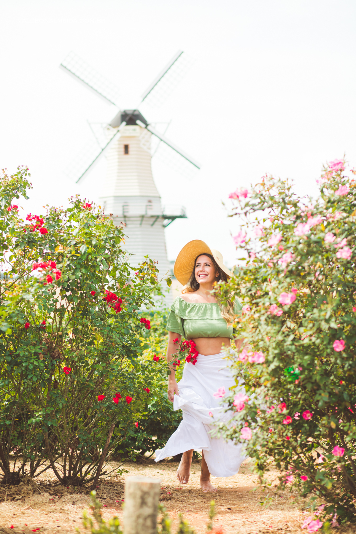Ensaio feminino na plantação de rosas em Holambra