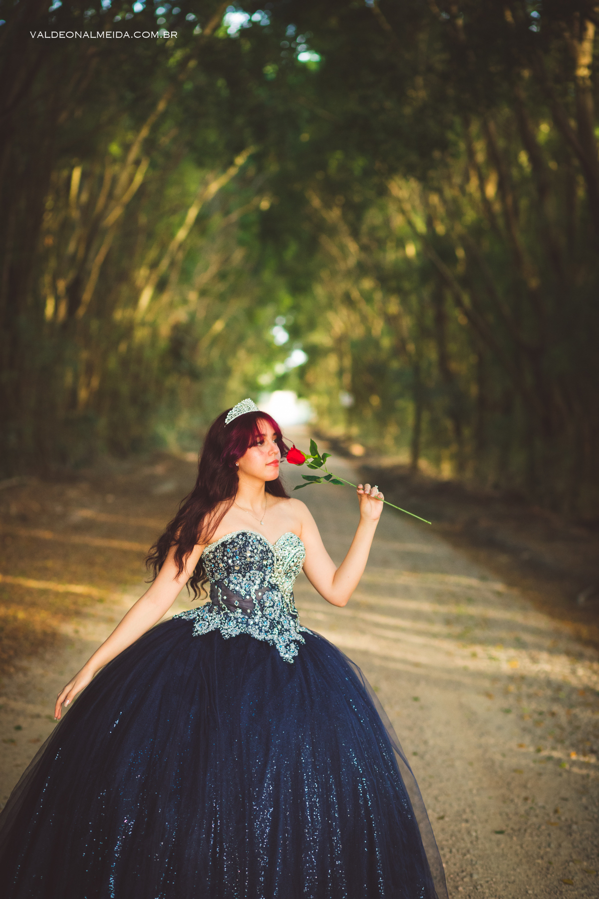 Ensaio de 15 anos da Jenifer em Holambra