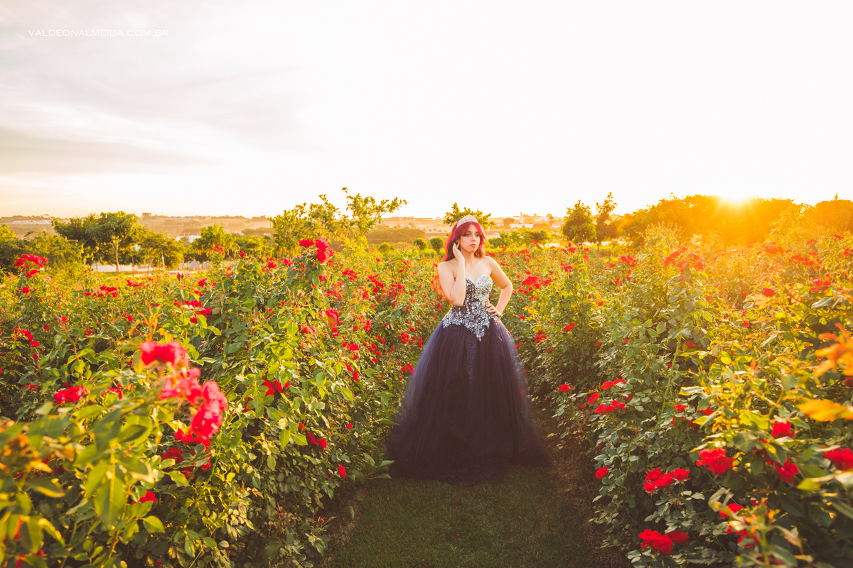 Ensaio de 15 anos da Jenifer em Holambra