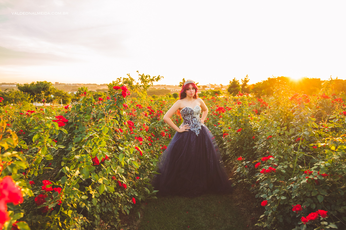 Ensaio de 15 anos da Jenifer em Holambra