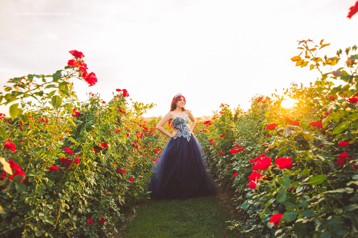 Ensaio de 15 anos da Jenifer em Holambra