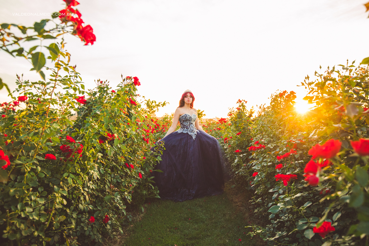 Ensaio de 15 anos da Jenifer em Holambra