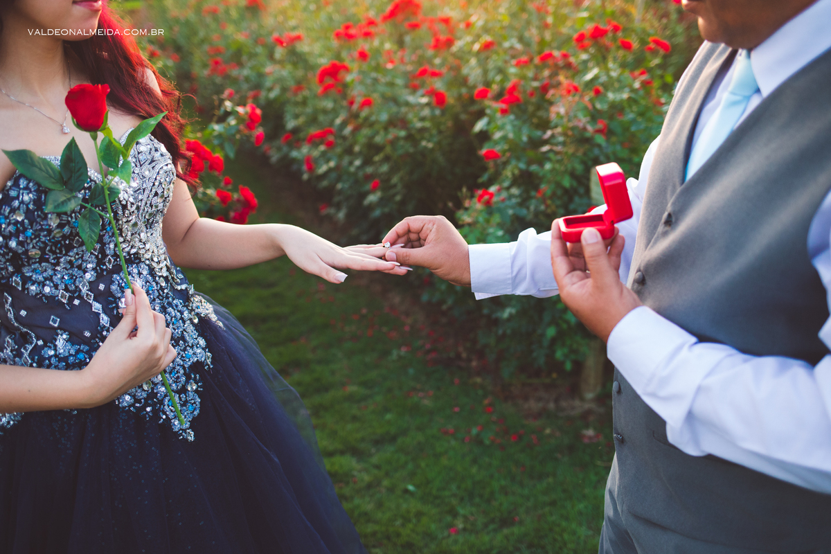 Ensaio de 15 anos da Jenifer em Holambra