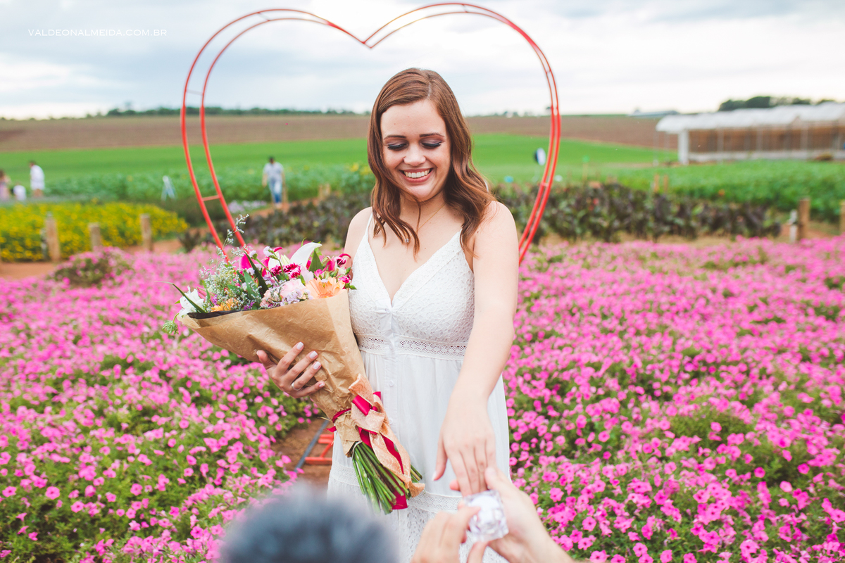 Pedido de casamento surpresa em Holambra