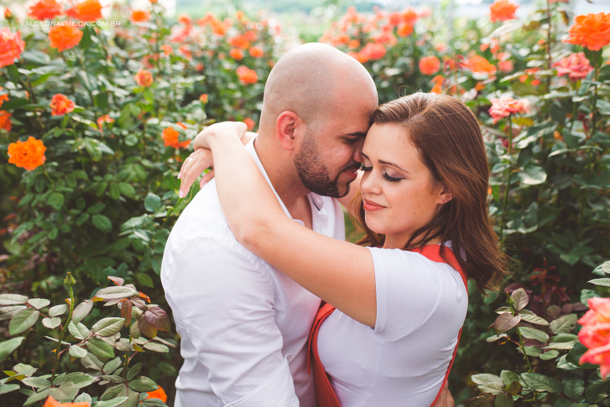 Pedido de casamento surpresa em Holambra