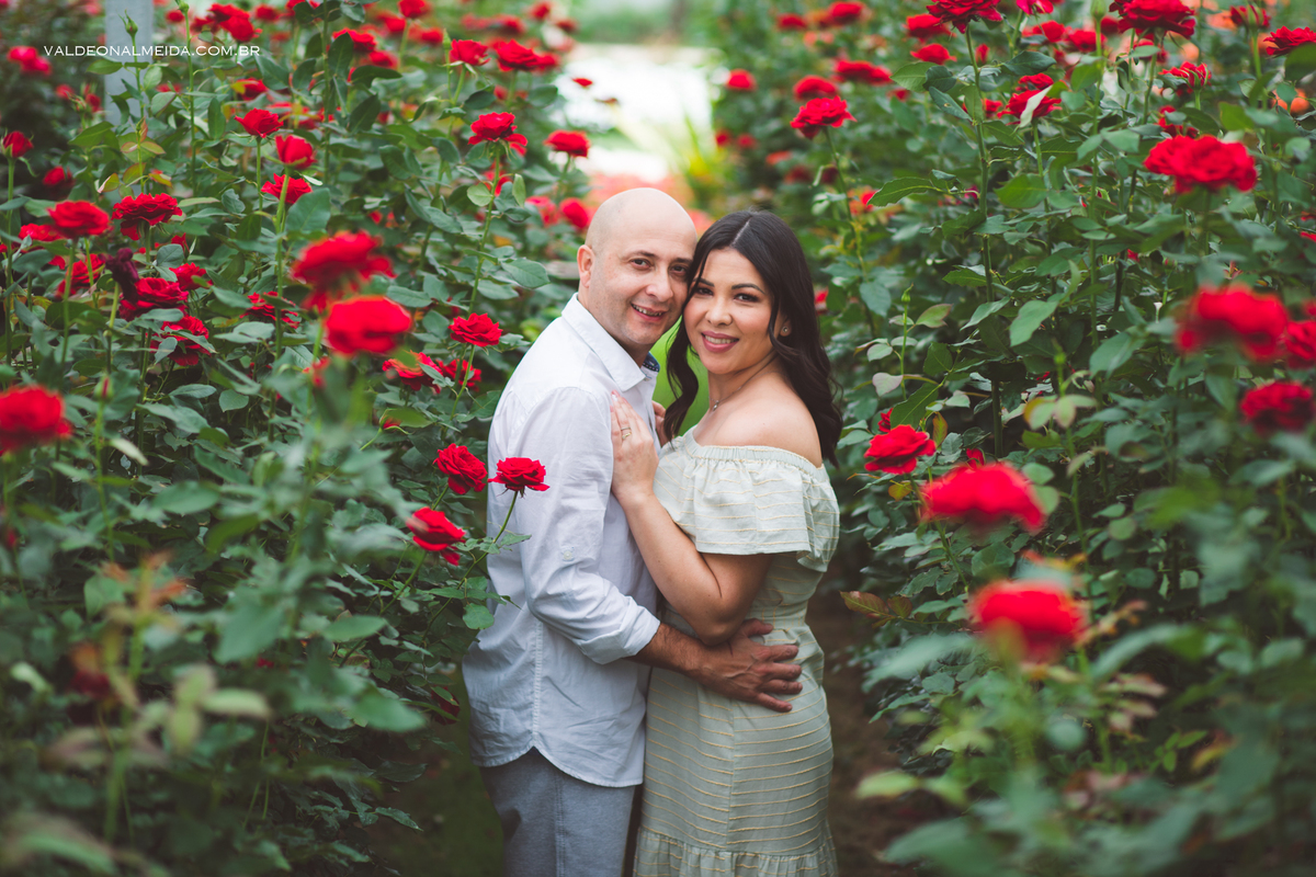 Um ensaio fotográfico incrível de de família em Holambra