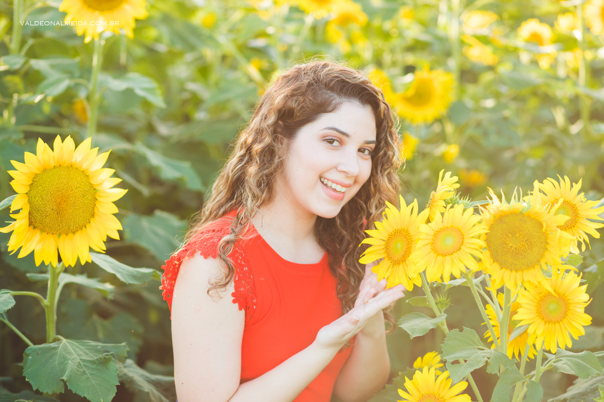 Ensaio fotográfico de família em Holambra