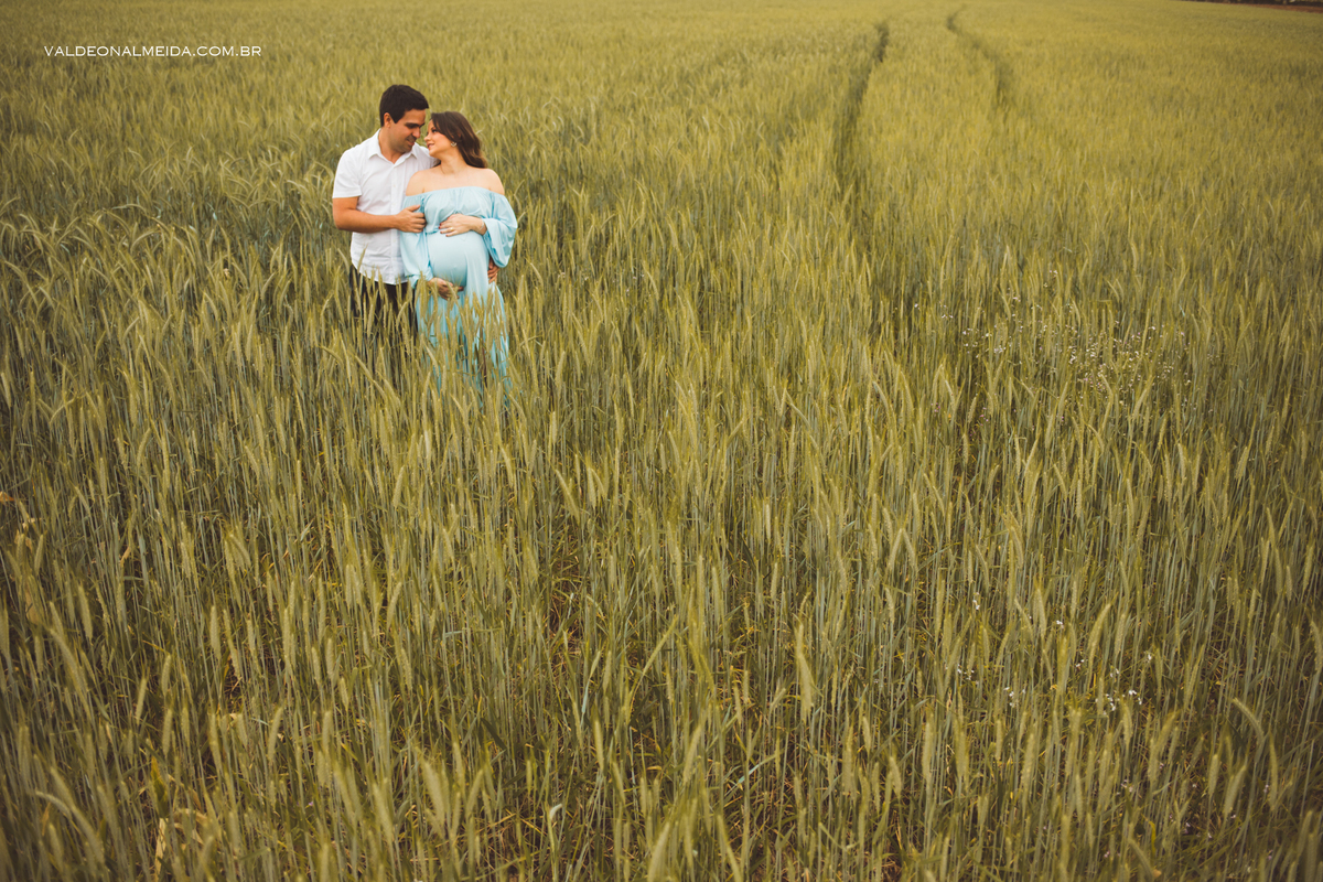 Ensaio de gestante em Holambra em uma plantação de trigo
