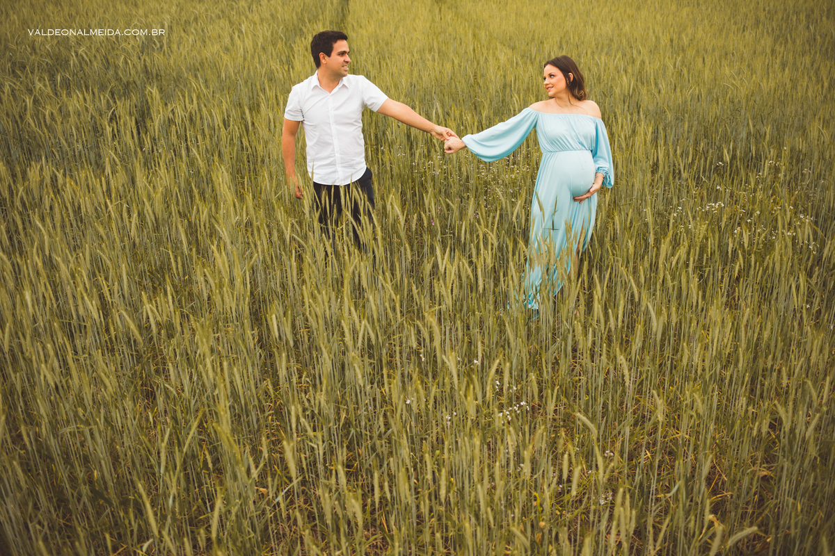 Ensaio de gestante em Holambra em uma plantação de trigo