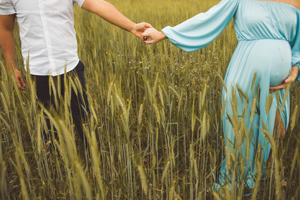 Ensaio de gestante em Holambra em uma plantação de trigo