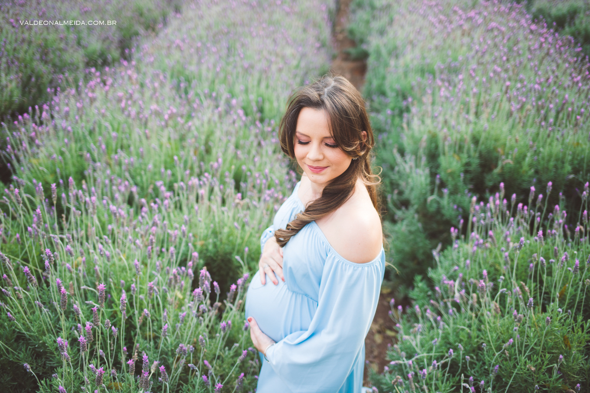 Ensaio de gestante em Holambra em uma plantação de lavanda