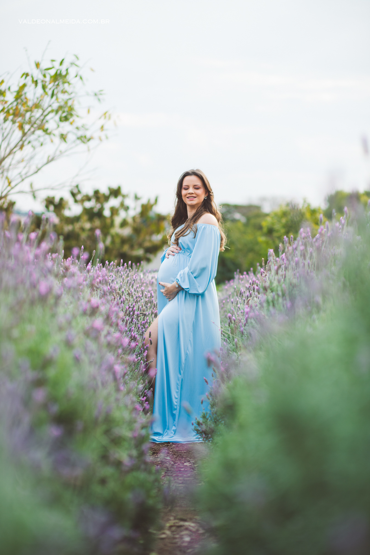 Ensaio de gestante em Holambra em uma plantação de lavanda