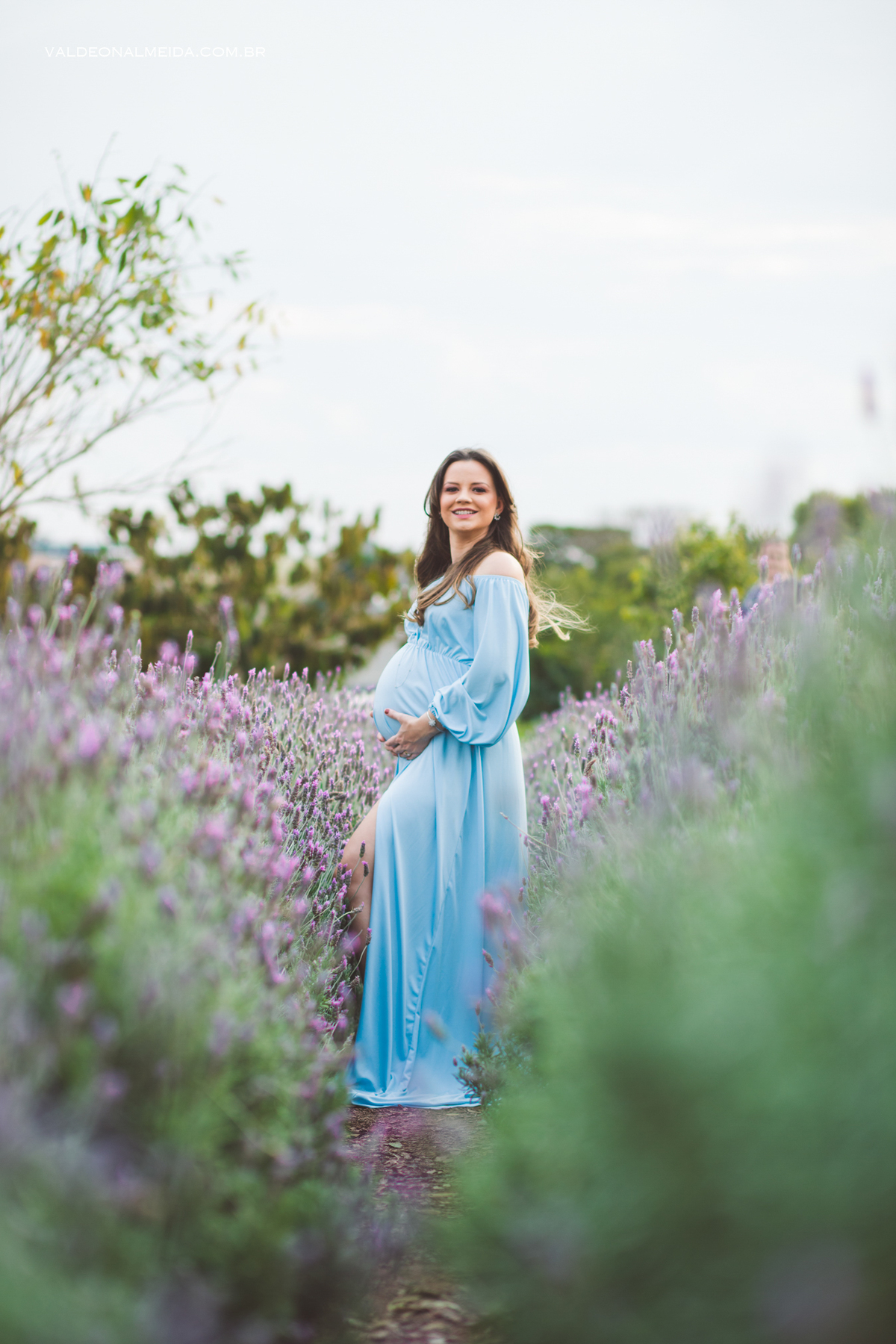 Ensaio de gestante em Holambra em uma plantação de lavanda