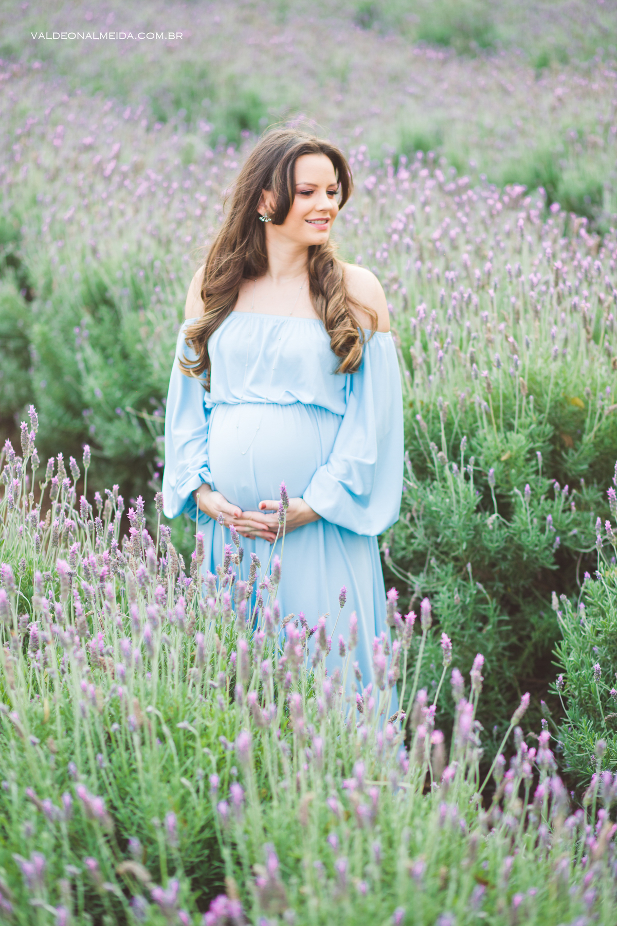 Ensaio de gestante em Holambra em uma plantação de lavanda
