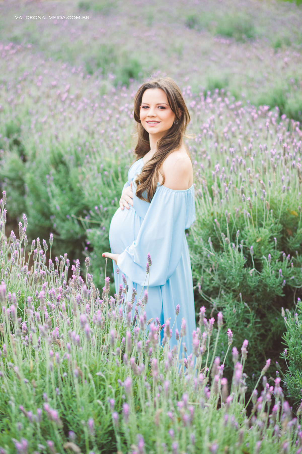 Ensaio de gestante em Holambra em uma plantação de lavanda