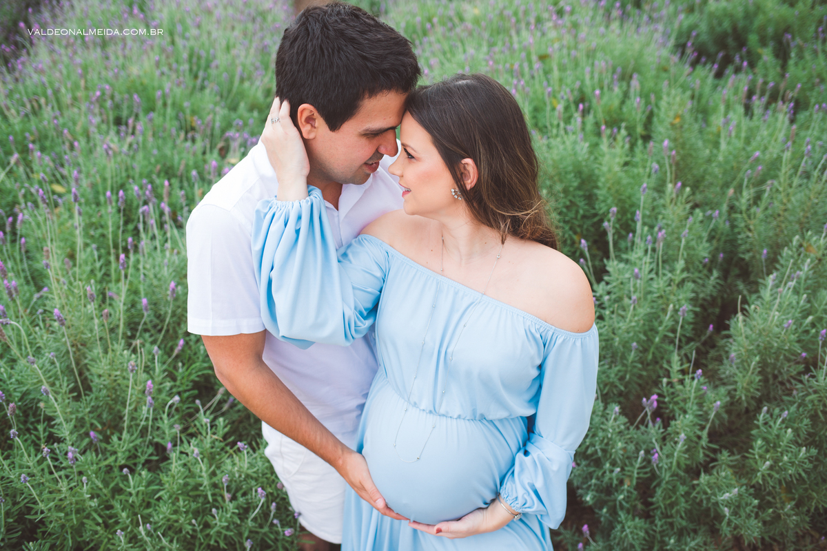 Ensaio de gestante em Holambra em uma plantação de lavanda