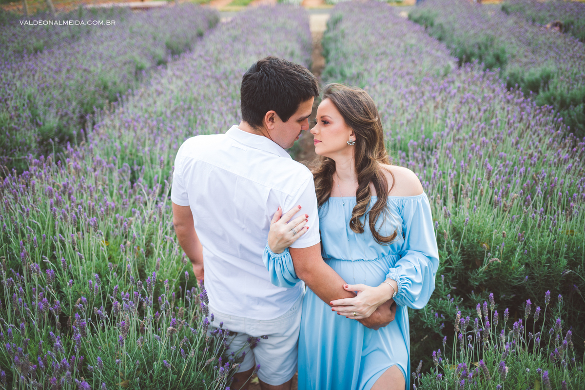Ensaio de gestante em Holambra em uma plantação de lavanda