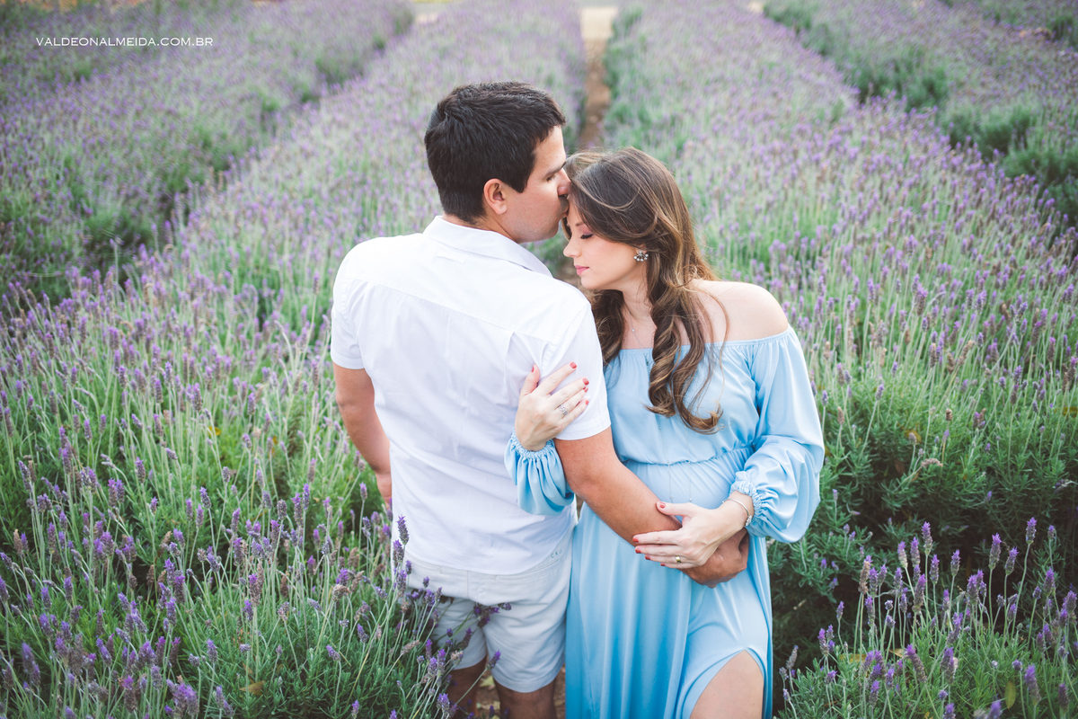 Ensaio de gestante em Holambra em uma plantação de lavanda