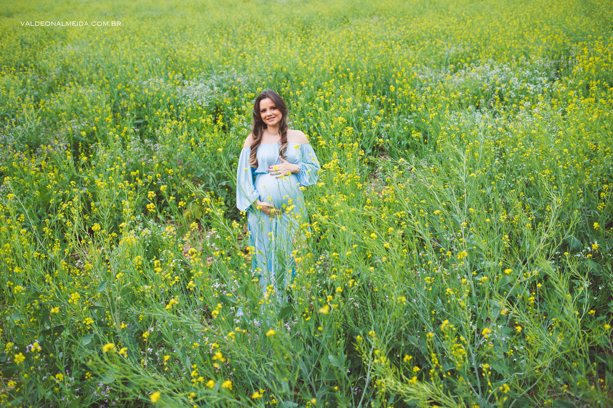 Ensaio de gestante em Holambra em uma plantação de canola