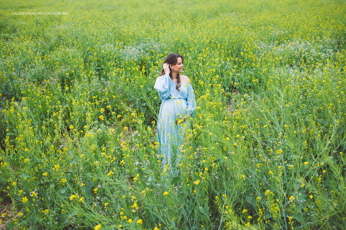 Ensaio de gestante em Holambra em uma plantação de canola