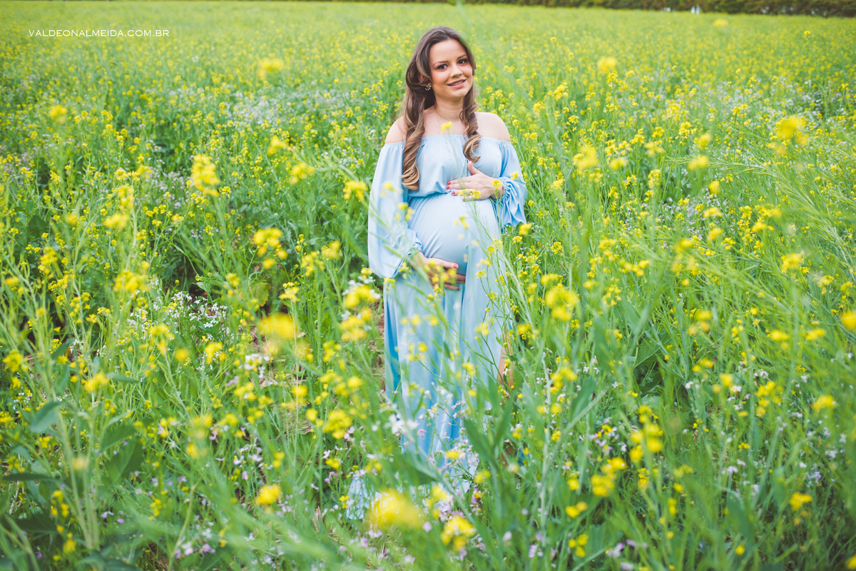 Ensaio de gestante em Holambra em uma plantação de canola