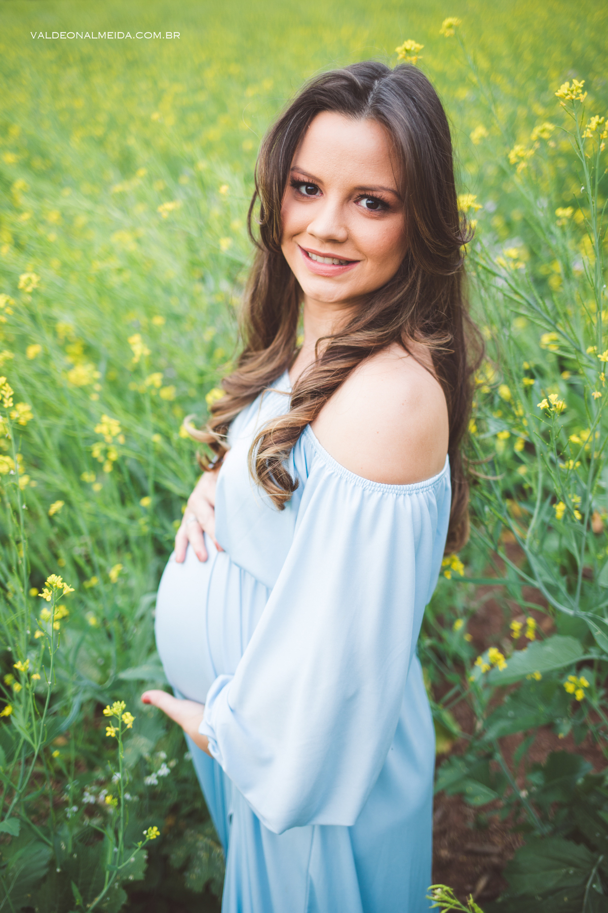 Ensaio de gestante em Holambra em uma plantação de canola