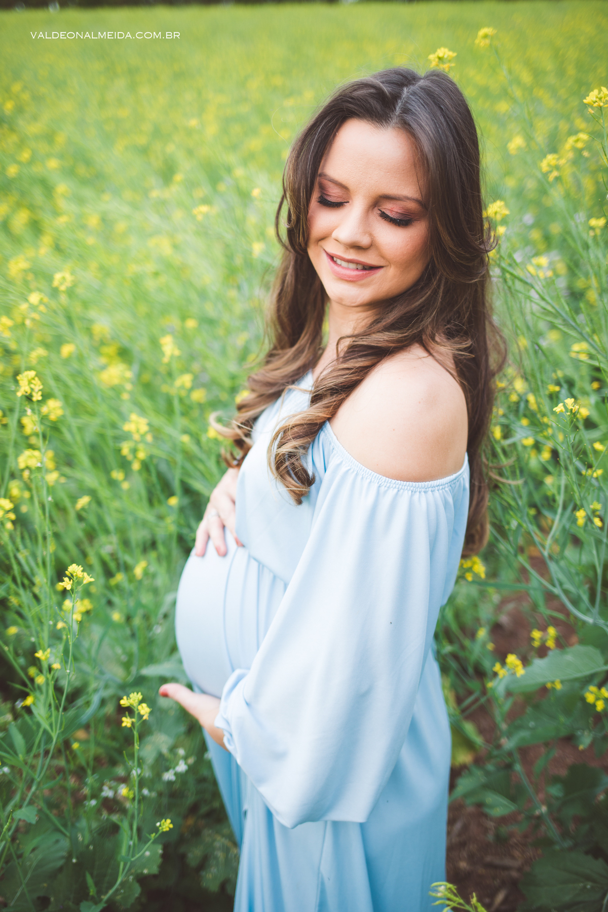Ensaio de gestante em Holambra em uma plantação de canola