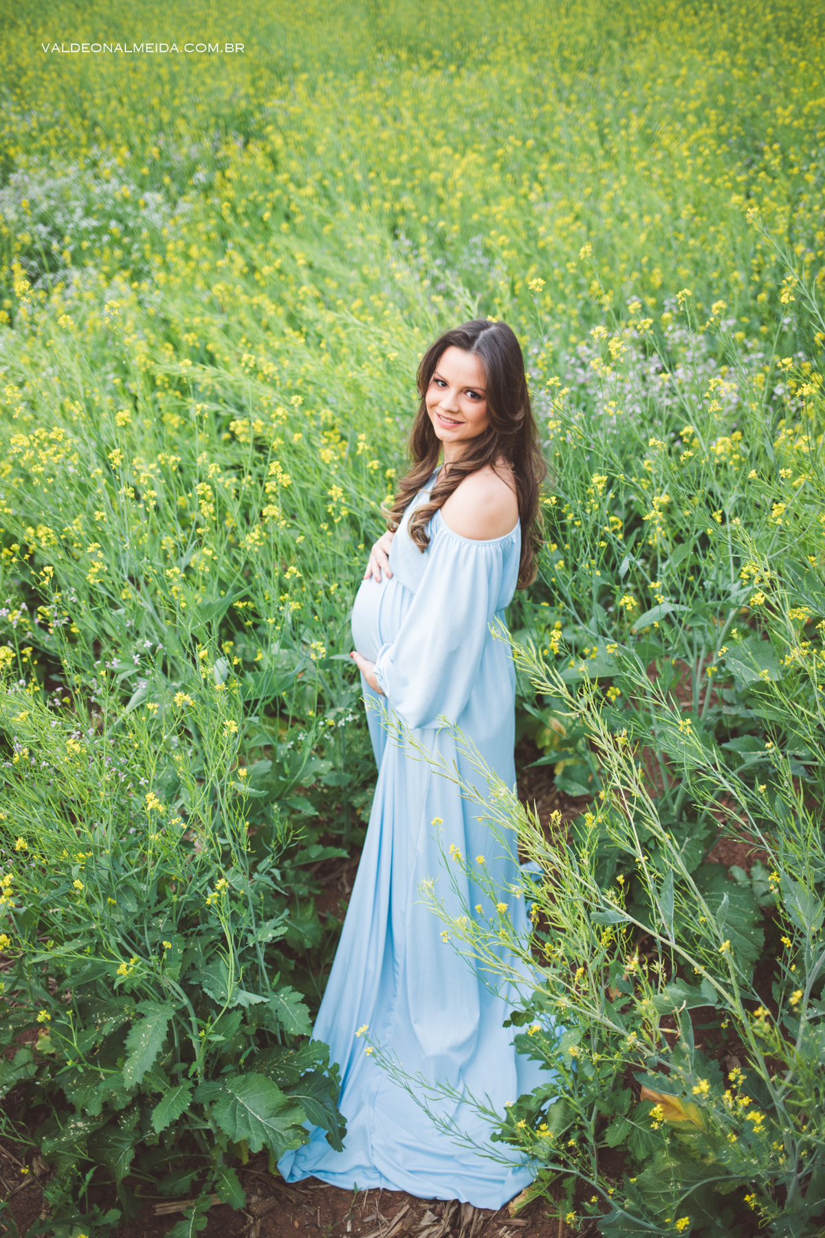 Ensaio de gestante em Holambra em uma plantação de canola